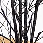 Nearly Natural Pre-Lit Artificial Halloween Black Twig Tree, 5' (T5205)~#|#~D9FC338F-6C92-443B-AC8DC0C3382A7A2A_sc7
