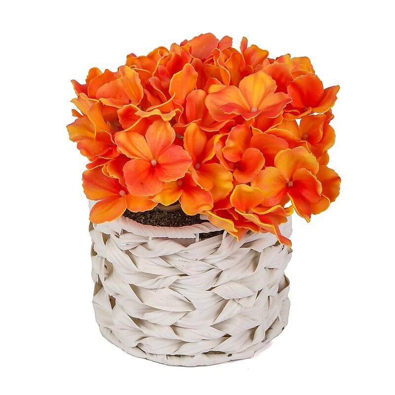 National Tree Company 10" Orange Hydrangea Bouquet in White Basket (MT81-01326GOR-1) image 1