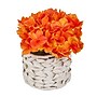 National Tree Company 10" Orange Hydrangea Bouquet in White Basket (MT81-01326GOR-1)~#|#~DA25D68E-FC59-4BDD-B7F5E07E6764EA01_sc7
