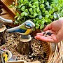 Yellow Door Sensory Play Stones, Birds, Multicolored, 8 Pieces/Set (YUS1219)~#|#~DA30E730-7FB5-4134-AEA3DB55B5BCC89D_sc7