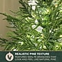 Fraser Hill Farm 4' Real Feel Pre-Lit Artificial Christmas Trees (FFRF048P-5MGR)~#|#~DA3DD1EF-87E8-4A35-9B965B40C9AB2253_sc7