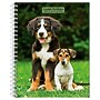 2027 BrownTrout I Love Puppies 6.5" x 7.8" Calendar Year Weekly Standard Planner, Multicolor (9798330709441)~#|#~DA54B63B-0F05-49C8-9CD74D59C24221A3_sc7
