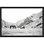 Amanti Art Moke Lake Horses IV by Laura Marshall Framed Canvas Wall Art Print, 23"W x 16"H (A42678809351)~#|#~DA69ACC8-69FA-447D-ACCD4B5F2E5694C5_sc7