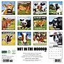 2026 Willow Creek Not in the Mooood 12" x 12" Monthly Wall Calendar (52211)~#|#~DA6ADBE0-23F3-4553-93E9C6C880E2EDD1_sc7