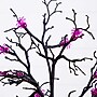 Nearly Natural Pre-Lit Artificial Halloween Spider Twig Tree, 3' (T5362)~#|#~DA902FB7-766E-44CC-BBBAD0DDD05778D4_sc7