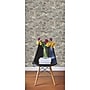 York Wallcoverings Dots Peel and Stick Wallpaper (RMK9010WP)~#|#~DAB1E986-7FC1-40CB-91AFF93E791B5E5D_sc7