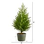 Nearly Natural Norfolk Island Pine Natural Look Artificial Tree in Decorative Planter, 3' (T1511)~#|#~DAB4A4BD-03AF-43C8-93332CD496FADC0B_sc7