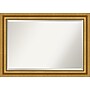 Amanti Art Parlor Gold Frame Wall Mirror, 29.75" x 41.75" (A42674593613)~#|#~DAB62CBC-9BC3-4C9A-94E5F204F923B077_sc7