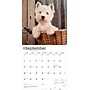 2026 BrownTrout West Highland White Terriers 12" x 12" Monthly Wall Calendar (9798330706280)~#|#~DABAD7E1-A627-4D37-9B78BEE1C1B8BDCA_sc7