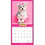 2026 BrownTrout Puppies in Pink 12" x 12"  Monthly, Paper Cover, Puppies in Pink (9798330705245)~#|#~DADCAFBB-1709-4782-8E5ED9450FBB1EA3_sc7