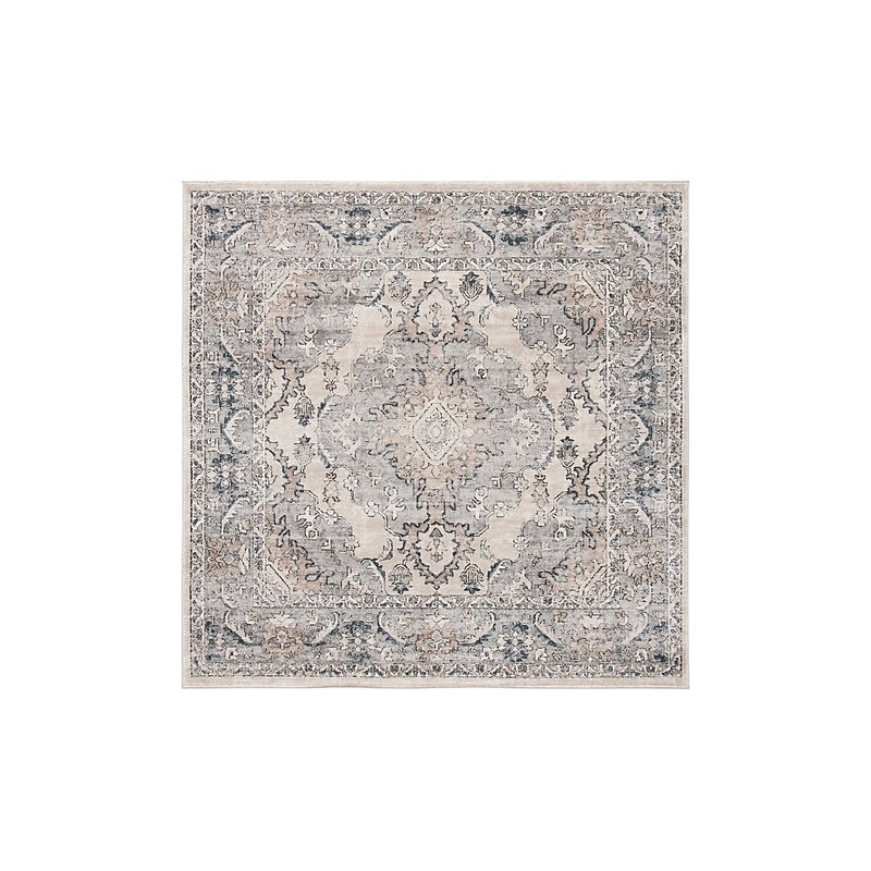 Safavieh Oregon Collection 10' x 10' Square Indoor Area Rug, Machine Made, Beige/Grey (ORE898B-10SQ) image 1