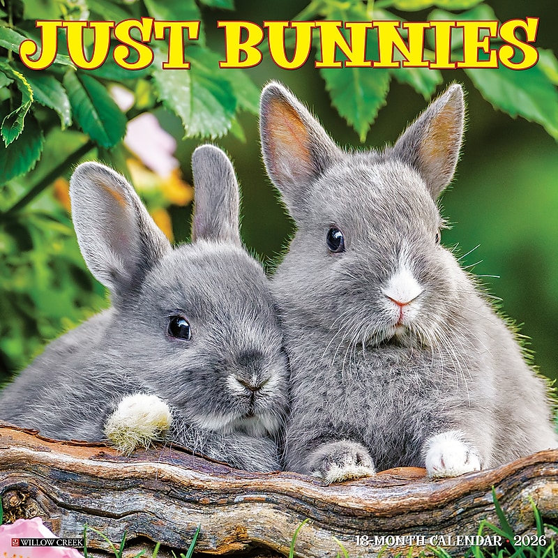 2026 Willow Creek Bunnies 12" x 12" Monthly Wall Calendar (50446) image 1