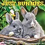 2026 Willow Creek Bunnies 12" x 12" Monthly Wall Calendar (50446)~#|#~DAFA648B-113C-400C-B4D458D6FCA133D3_sc7