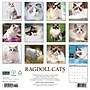 2027 Willow Creek Multi 12" x 12" Monthly Wall Calendar, Assorted Colors (61985)~#|#~DB0D0A08-88A5-4C35-9A13DD98C8FD1376_sc7