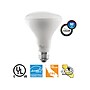 Viribright 9-Watts Soft White LED Floodlight Bulb, 6/Box (450124-ES)~#|#~DB1EEF9E-5126-4F74-A4867551D4602B2D_sc7