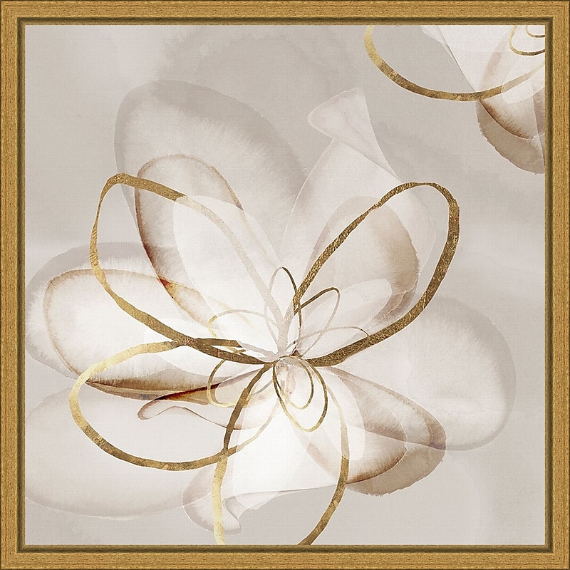 Amanti Art Transparent Beauty II (Floral) by Eva Watts Framed Canvas Wall Art Print, 16" x 16" (A42675040765) image 1
