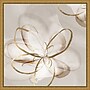 Amanti Art Transparent Beauty II (Floral) by Eva Watts Framed Canvas Wall Art Print, 16" x 16" (A42675040765)~#|#~DB228D9E-2C04-40E1-95082FED5D4DDA31_sc7