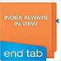 Pendaflex Recycled Heavy Duty End Tab File Folder, Straight Cut, Letter Size, Orange, 100/Box (H110DOR)~#|#~DB2696FF-8CE0-4F17-9C624DAC9759308F_sc7