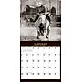 2026 Willow Creek Rodeo Life 12" x 12" Monthly Wall Calendar (56103)~#|#~DB331F33-9F23-4D36-9C8DEF8BFE964442_sc7