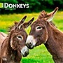 2026 BrownTrout Donkeys 12" x 12" Monthly Wall Calendar (9798330703173)~#|#~DB37F151-5965-4934-830A5BCF8300C4EA_sc7