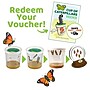 Insect Lore Butterfly Garden (ILP7510)~#|#~DB5C1F67-D559-47E8-9DB5281F97D0C75F_sc7