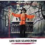 Haunted Hill Farm Life-Size Animatronic Skeleton Scarecrow (HHSCR-1FLSA)~#|#~DBAF1B49-706D-4A49-9E28A204BF934EE2_sc7