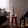 Nearly Natural Pre-Lit Artifiical Halloween Black Twig Tree, 2' (T5203)~#|#~DBB0E3C1-472A-4D1C-A7F92F67BE6344B0_sc7