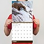 2026 TF Publishing Wild 12" x 12" Monthly Wall Calendar, Multi (26-1032)~#|#~DBD98AF2-A18D-43AE-BC47F01E7FC077BE_sc7