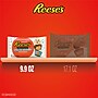 Reese's Miniatures Sugar Cookie Milk Chocolate Peanut Butter Cups, 9.9 oz. (34000-45301)~#|#~DBFB3E0B-65E2-48A1-8ADA65877B54A7D1_sc7