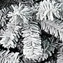 National Tree Company 6' Acacia Artificial Christmas Tree (AC100-502-60F)~#|#~DC04738B-CEF1-497B-87EA7BC8D6579971_sc7