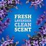 Pine-Sol Multi-Surface Cleaner Degreaser, Lavender Clean Scent, 80 fl. oz., 3/Carton (60608)~#|#~DC18F23F-3EEB-4320-9ACB612EFD6A9D0F_sc7