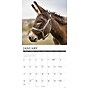 2027 Willow Creek Donkeys  12" x 12" Monthly Wall Calendar (65204)~#|#~DC34C62C-4611-4EC6-90FDC87C4831B60A_sc7
