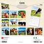 2026 BrownTrout Cows 12" x 12" Monthly Wall Calendar (9798330703067)~#|#~DC4FF65B-0C80-4EDA-97A447BDFC36E17F_sc7