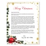 Geographics Ornaments Holiday Letterhead, Multicolored, 40 Sheets/Pack (50058)~#|#~DC573BA6-99D8-485E-87B5D863CC4F3B89_sc7