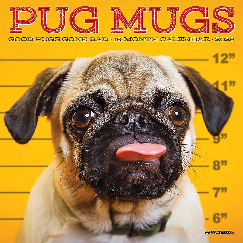 2026 Willow Creek Pug Mugs 7" x 7" Monthly Wall Calendar (53713) image 1