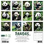 2026 Willow Creek Pandas 12" x 12" Monthly Wall Calendar (56042)~#|#~DC6D031C-4447-46C8-BA4128659D89DADE_sc7