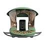 Birdfy Feeder 2 with Camera, Solar Panel and AI by Subscription, Green (EPPAMBNI8602100)~#|#~DC75D7E7-79AF-4A4D-ACEA9B62D35BED31_sc7