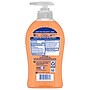 Softsoap Antibacterial Liquid Hand Soap, Crisp Clean Scent, 6/Carton (US03562)~#|#~DC91FD2E-A3D6-40A1-B3D9883065104B44_sc7
