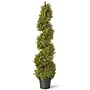 National Tree Company 48" Artificial Juniper Spiral (LCYSP4-702-48)~#|#~DCA7E54F-3B43-4622-A649FE902F3FBB4D_sc7