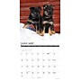 2027 Willow Creek German Shepherd Puppies 12" x 12" Monthly Wall Calendar, Assorted Colors (60360)~#|#~DCAD9957-1568-46B9-962498F0FB522791_sc7