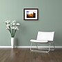 Trademark Philippe Sainte-Laudy "Light in Vineyards" Art, White Matte With Wood Frame, 16" x 20"~#|#~DCC0A6C1-CBF8-49C2-B24AC7BDE5006999_sc7