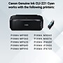 Canon 221 Cyan Standard Yield Ink Cartridge  (2947B001)~#|#~DCDF73BC-3D3E-4B8B-AE96944DB39C7929_sc7