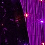 Nearly Natural Pre-Lit Artificial Halloween Black Willow Tree, 7' (T5206)~#|#~DCE2FBD8-F22A-4B22-B8AA0F7DF93477CF_sc7
