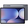 Samsung Galaxy Tab S10+ 5G 12.4" Tablet, WiFi 6, 256GB, Android 14, Moonstone Gray (SM-X828UZAAATT)~#|#~DCE8208E-8B96-4E9E-ADEFF15627F8E518_sc7