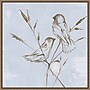 Amanti Art Pastel Birds I by Eli Jones Framed Canvas Wall Art Print, 22"W x 22"H (A42678866343)~#|#~DD1F5765-56B1-4778-BC92E7D0E543A448_sc7