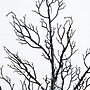 Nearly Natural Pre-Lit Halloween Minimalist Twig Artificial Fall Tree, 4' (T5160)~#|#~DD2D4C53-5C22-4635-BD3397F91FB804F4_sc7