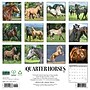 2027 Willow Creek American Quarter Horses 12" x 12" Monthly Wall Calendar, Assorted Colors (58763)~#|#~DD31ADCC-4D9C-4FA1-A086AD8C740A517B_sc7