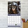 2026 TF Publishing 12" x 17" TF Publishing 7" x 7" TF Publishing 7" x 7" Baby Animals Mini Calendar 26-2000~#|#~DD441B73-F39C-4A55-A75F4A78C2DA559F_sc7