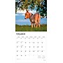 2026 BrownTrout Donkeys 12" x 12" Monthly Wall Calendar (9798330703173)~#|#~DD4A999A-0851-4A5A-B407CF098D8DEC1C_sc7