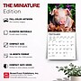 2027 BrownTrout Piglets 7" x 7" Monthly Wall Calendar (9798330709816)~#|#~DD69122D-8673-43FF-A7B12BAD2347B242_sc7